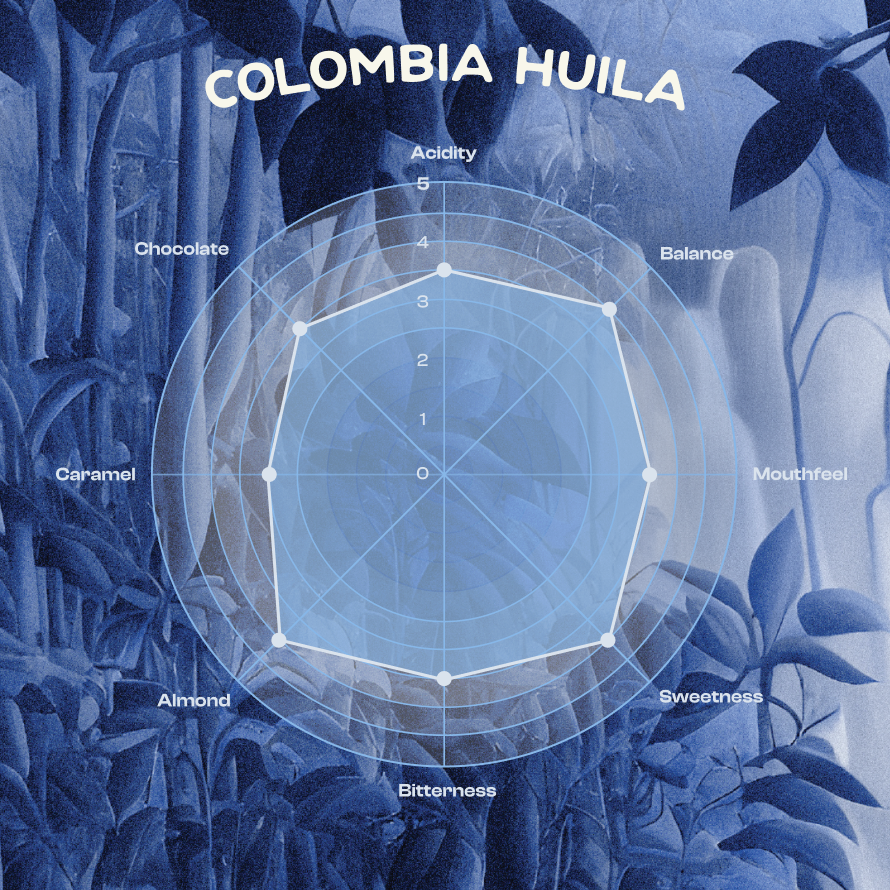 Single Origin Whole Beans - Colombia Huila