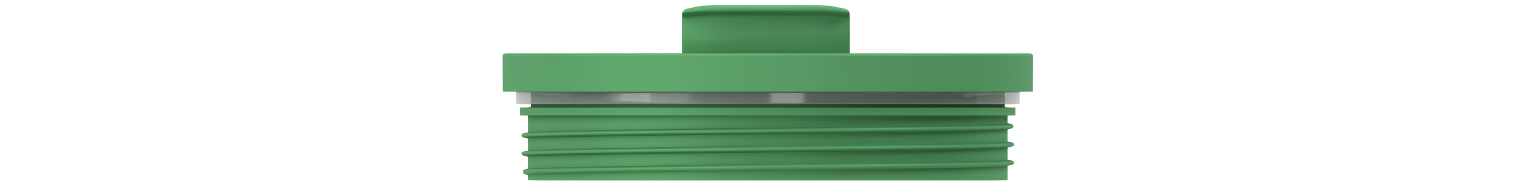 All Day Lid - Pine Green