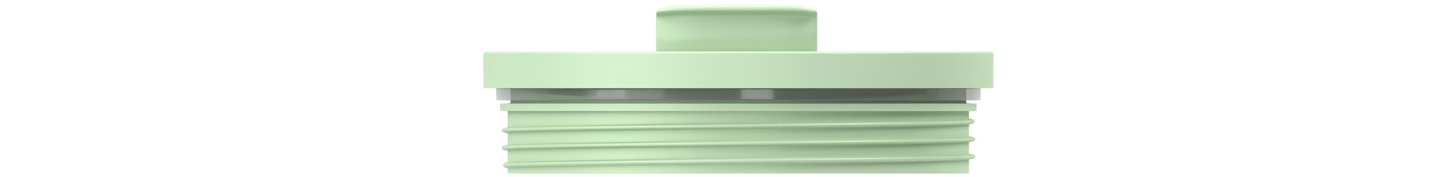 All Day Lid - Soft Fern